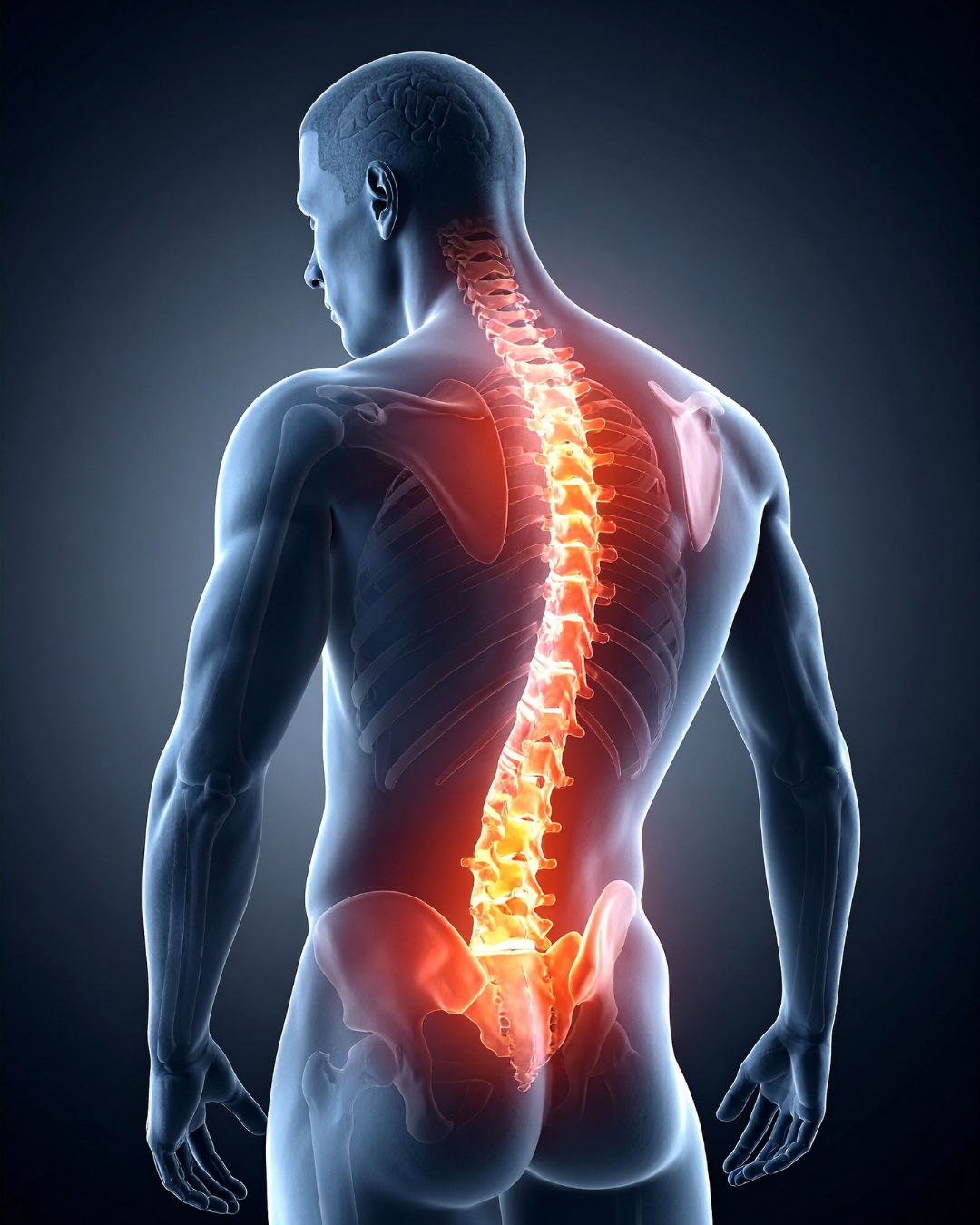 mini perfumes 2026 01 12t155013.125