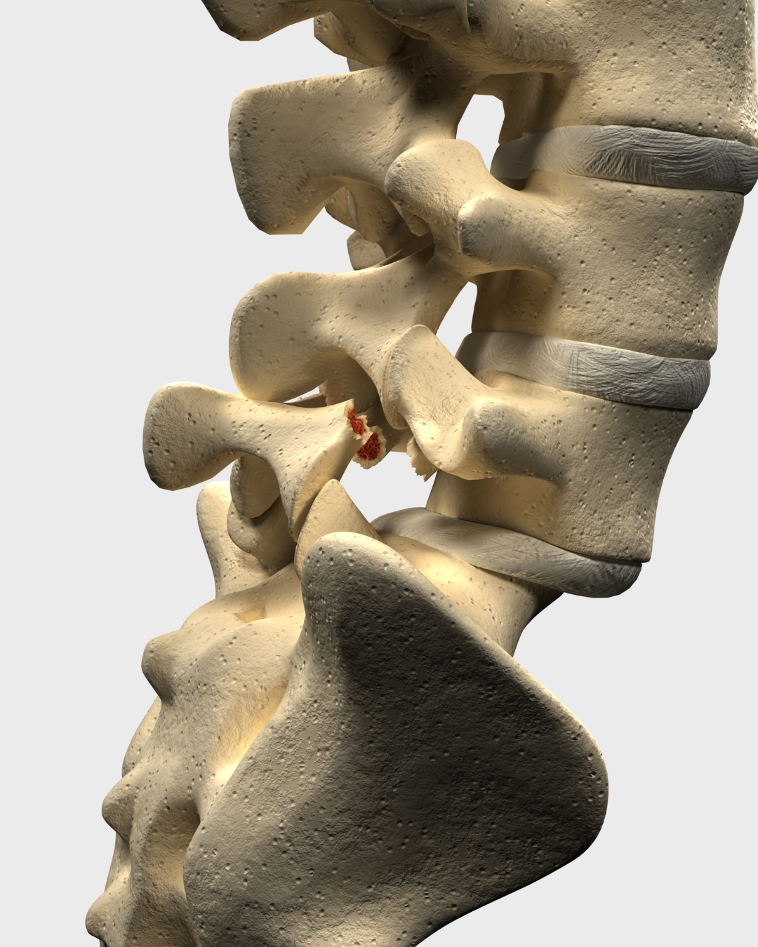 mini perfumes 2026 01 13t120234.486