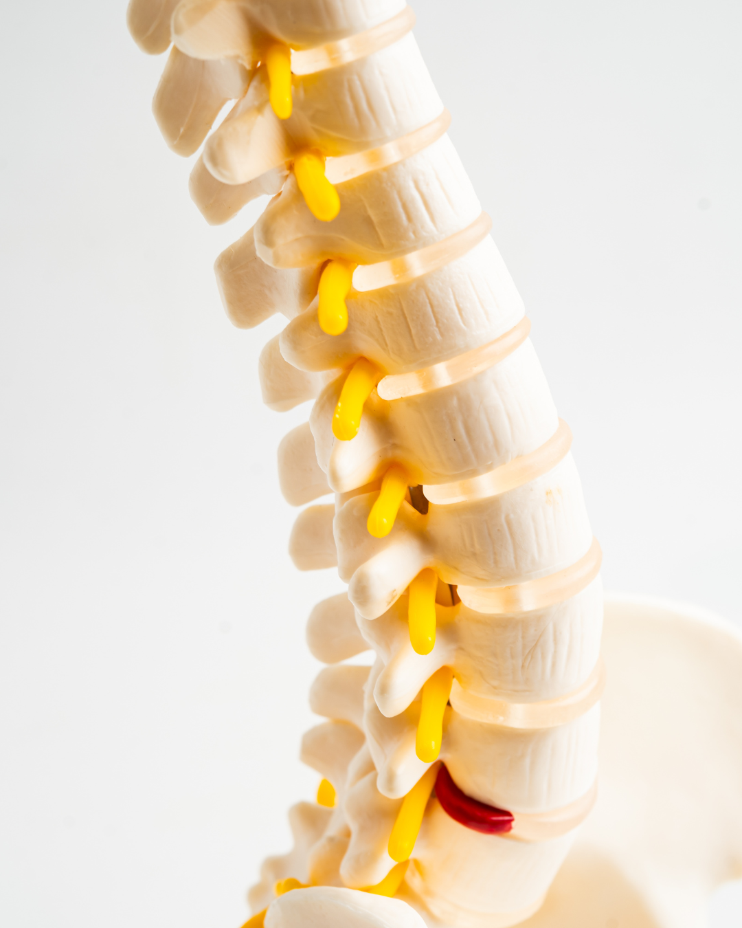 mini perfumes 2026 01 13t120838.911