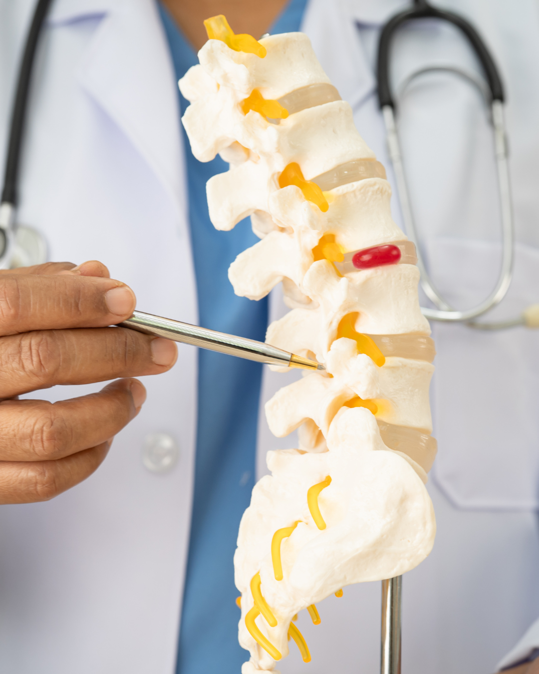 mini perfumes 2026 01 13t152312.627